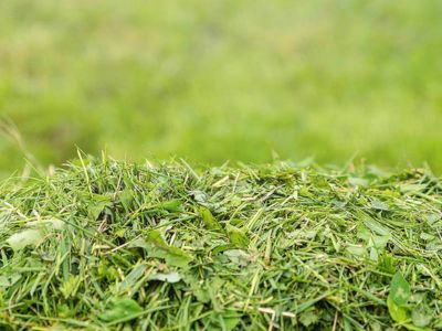 Mulch cover
